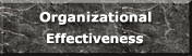 Organization Effectiveness